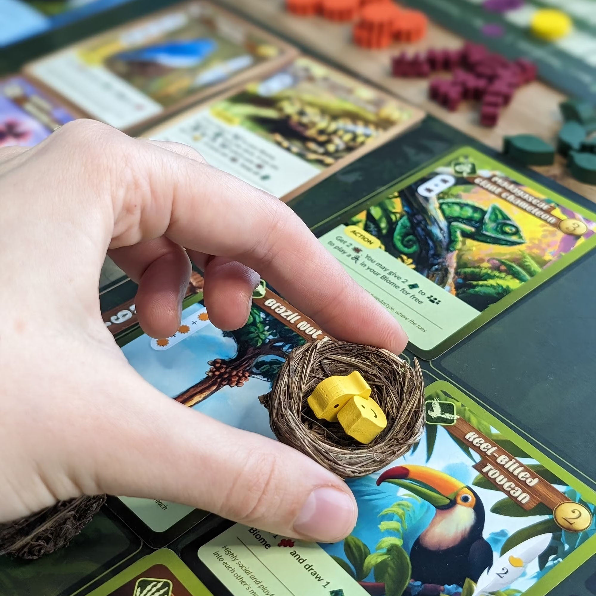 Biome Board Game Made In Camelot