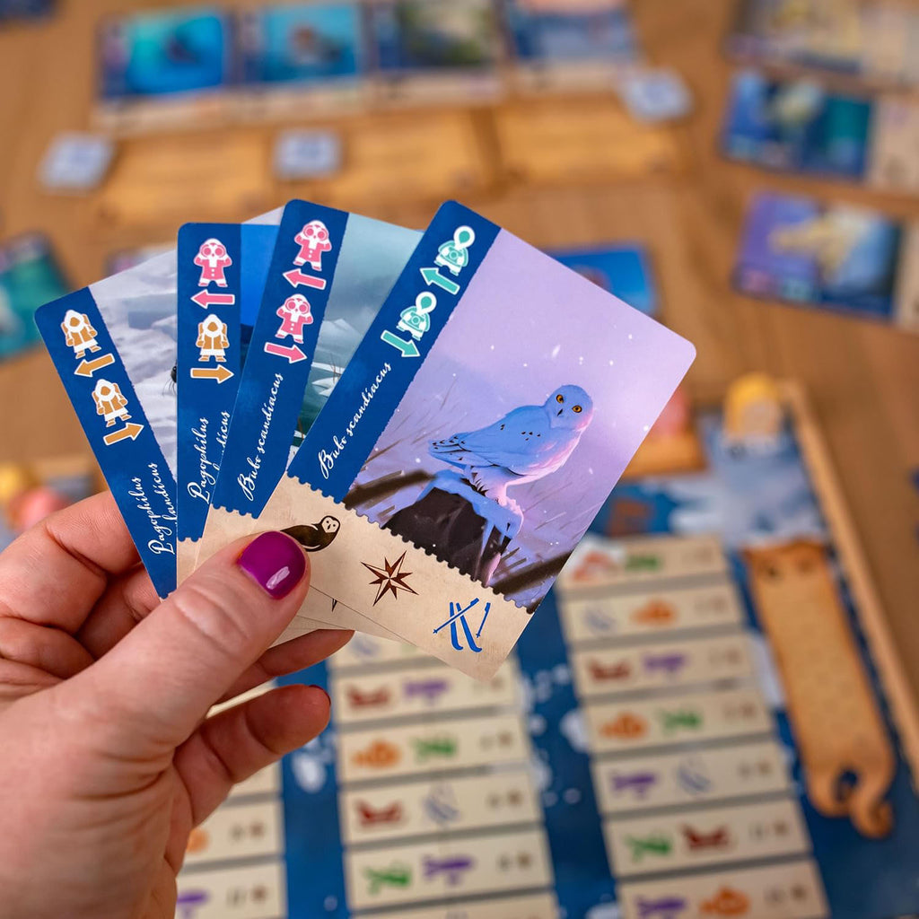 Borealis: Arctic Expeditions Board Game - Made In Camelot