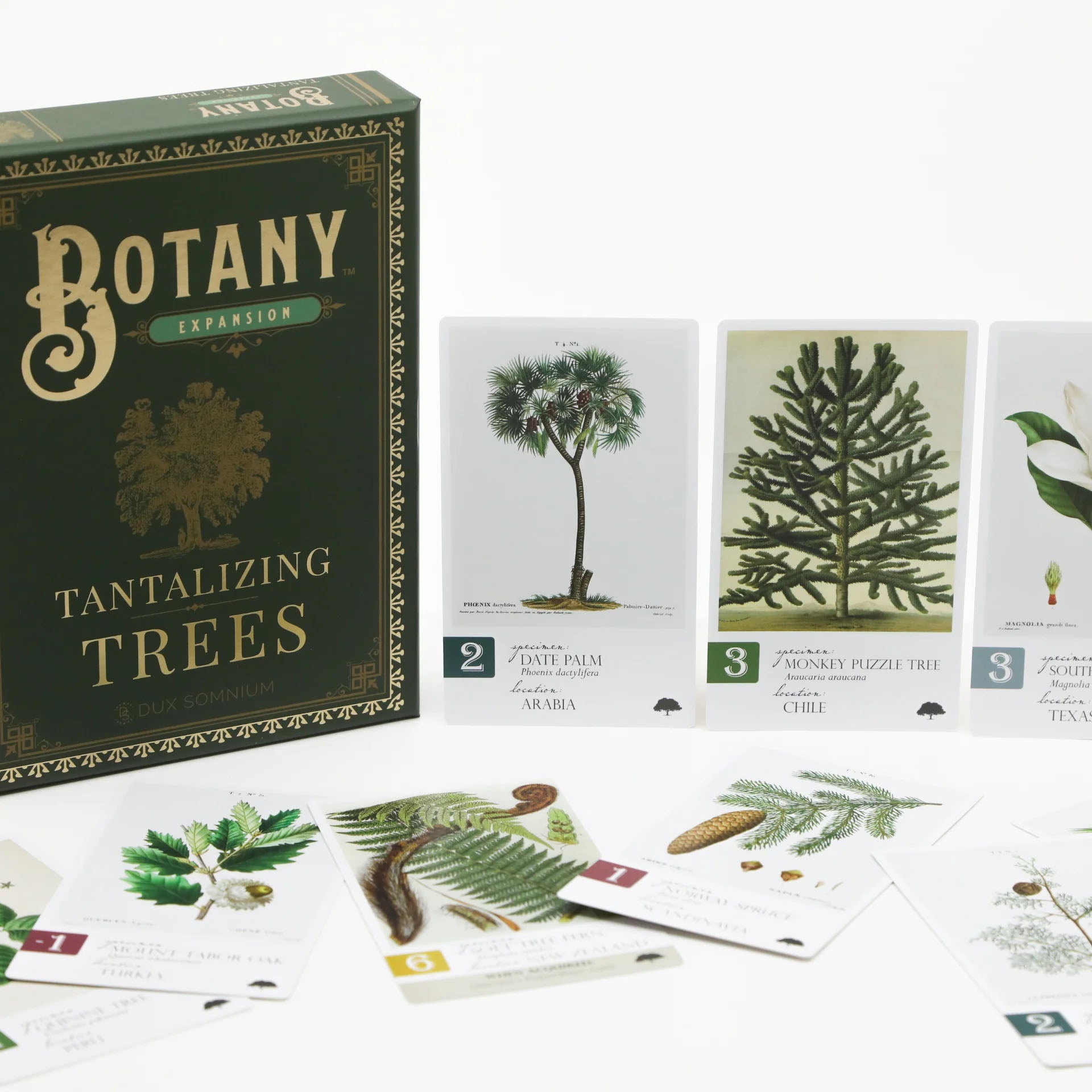 Botany Board Game: Tantalizing Trees Expansion - Made In Camelot