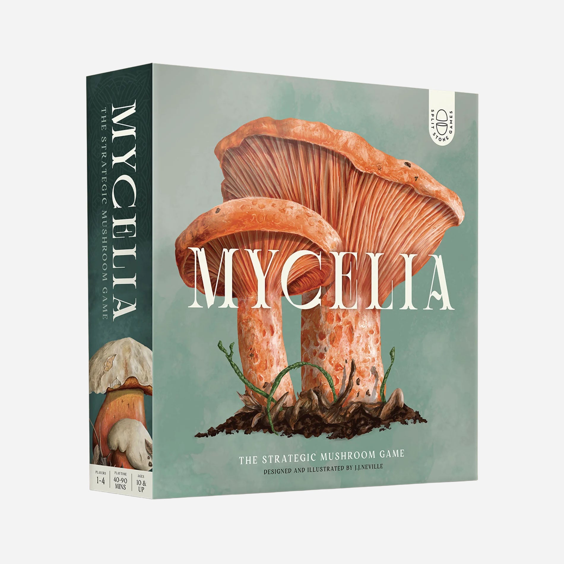 Mycelia Board Game