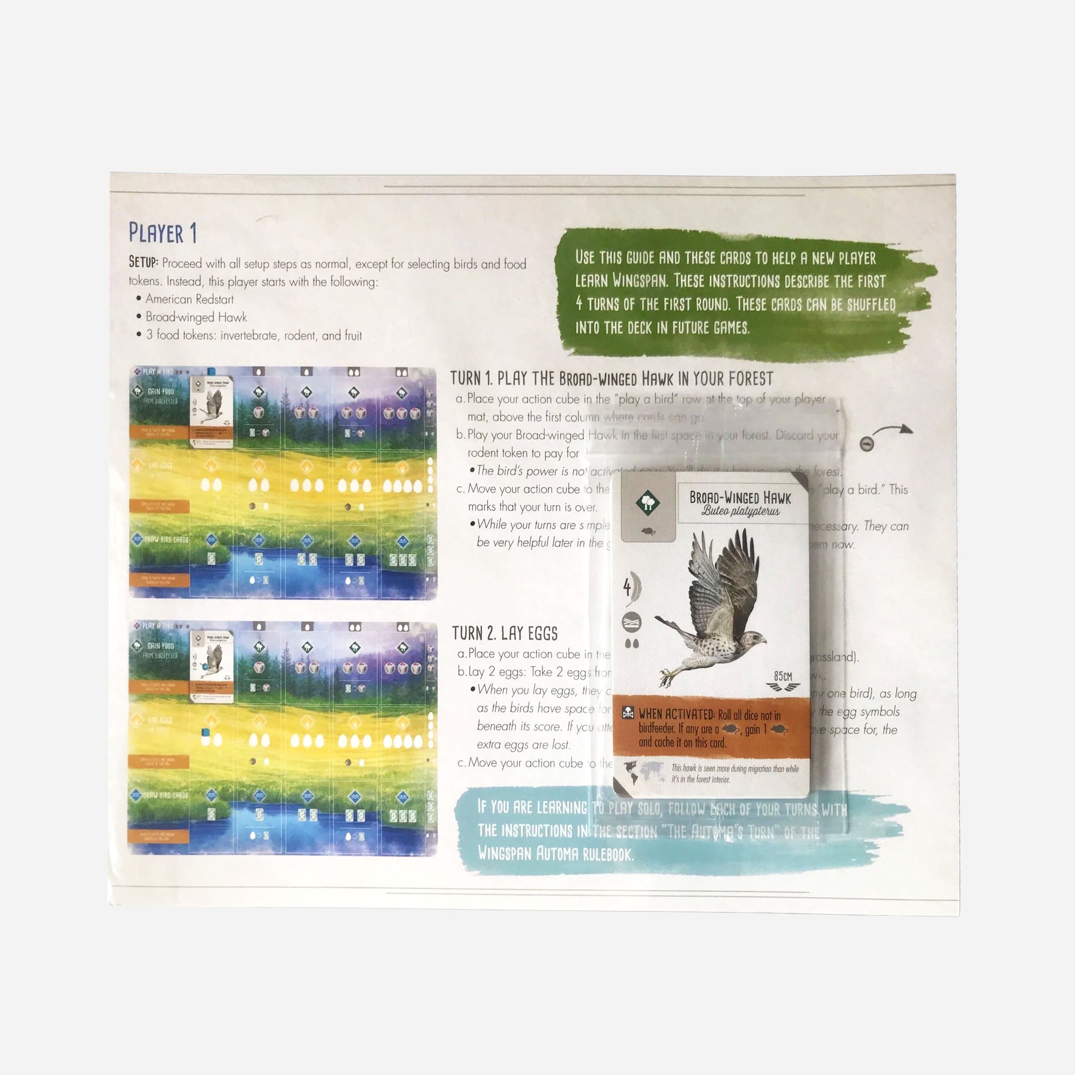 Wingspan - Includes Swift - Start Promo Pack - Made In Camelot